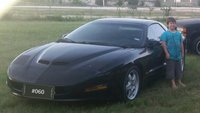 Firebird Firebird