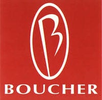 Gordie Boucher Ford of Thiensville logo