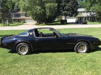 Firebird Firebird