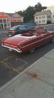 Falcon Falcon