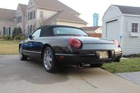 Thunderbird Thunderbird