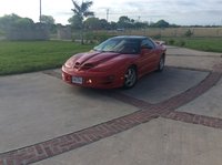 Firebird Firebird