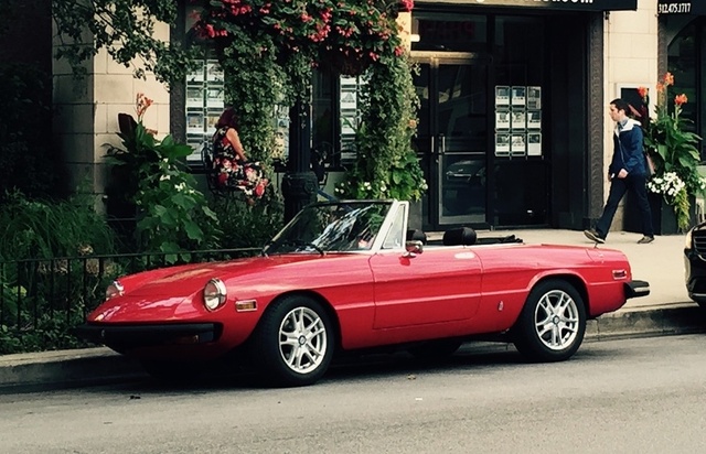 1978 Alfa Romeo Spider Pictures Cargurus