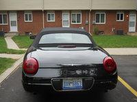 Thunderbird Thunderbird