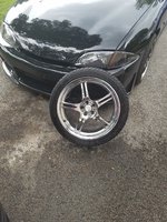 Cavalier Cavalier