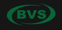 BVS4x4 logo